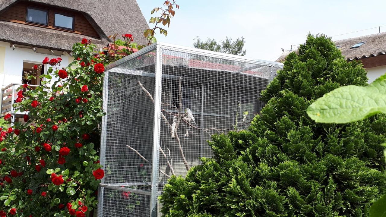 Monchgut Boddenblick Wohnung 2 Groß Zicker Esterno foto