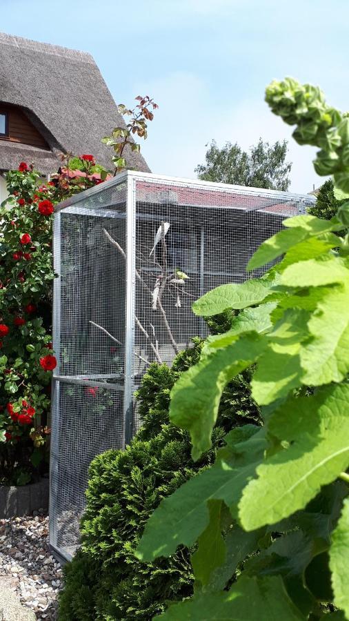 Monchgut Boddenblick Wohnung 2 Groß Zicker Esterno foto