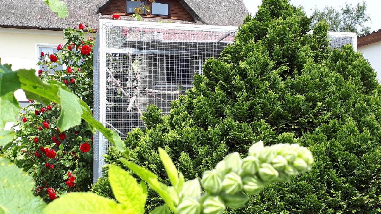 Monchgut Boddenblick Wohnung 2 Groß Zicker Esterno foto